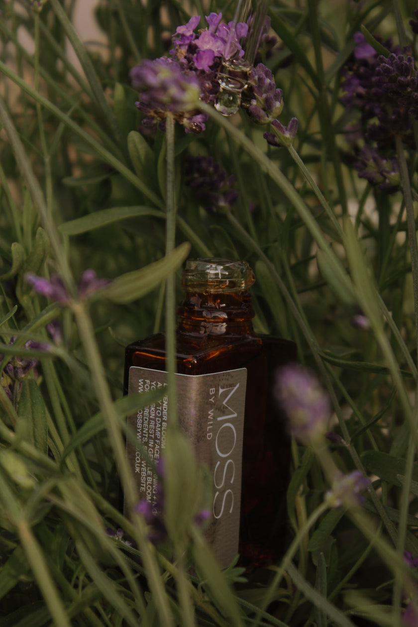 Lavender Bloom Face Oil / Natural + Vegan Face Oil