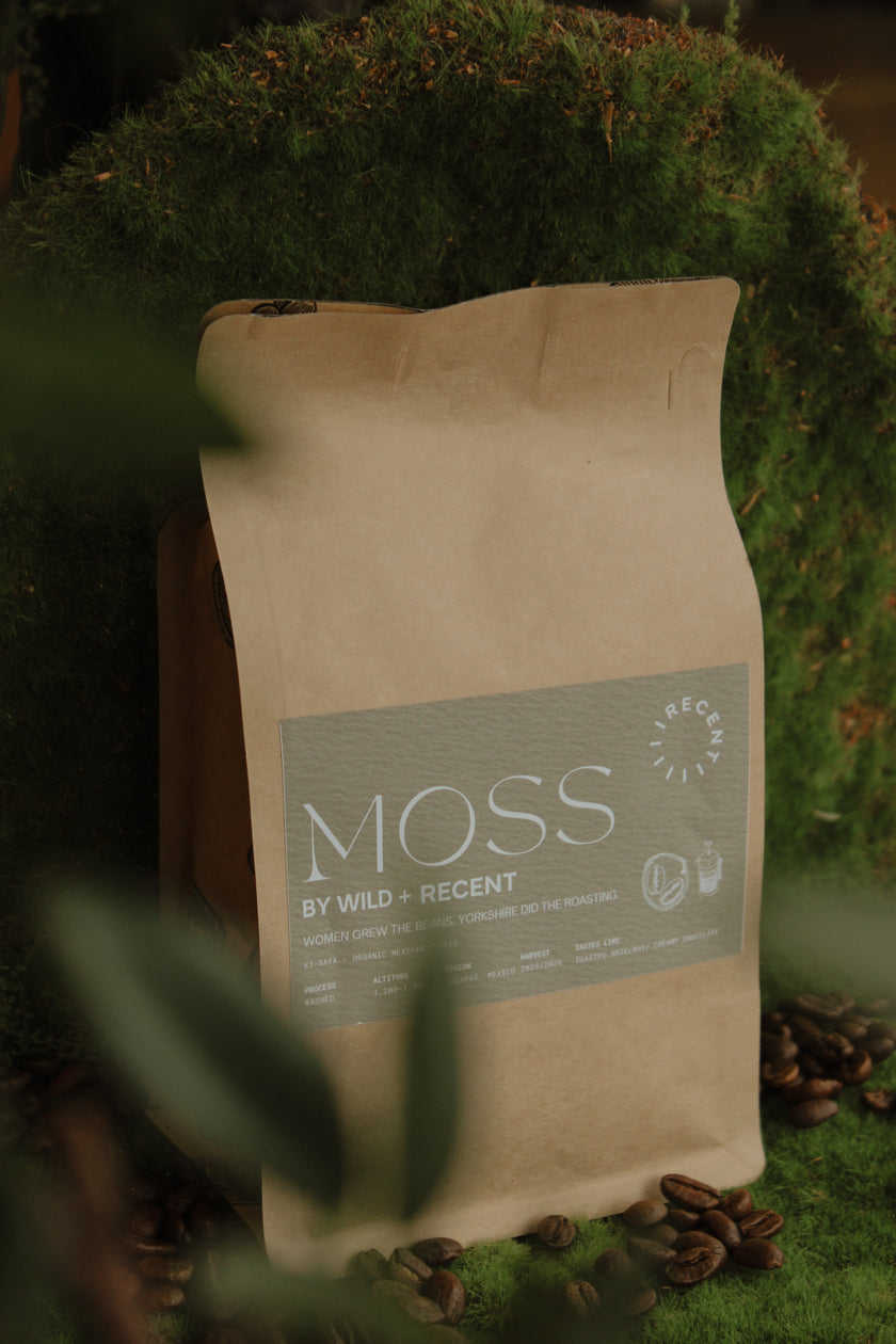 MOSS Coffee / Organic Coffee