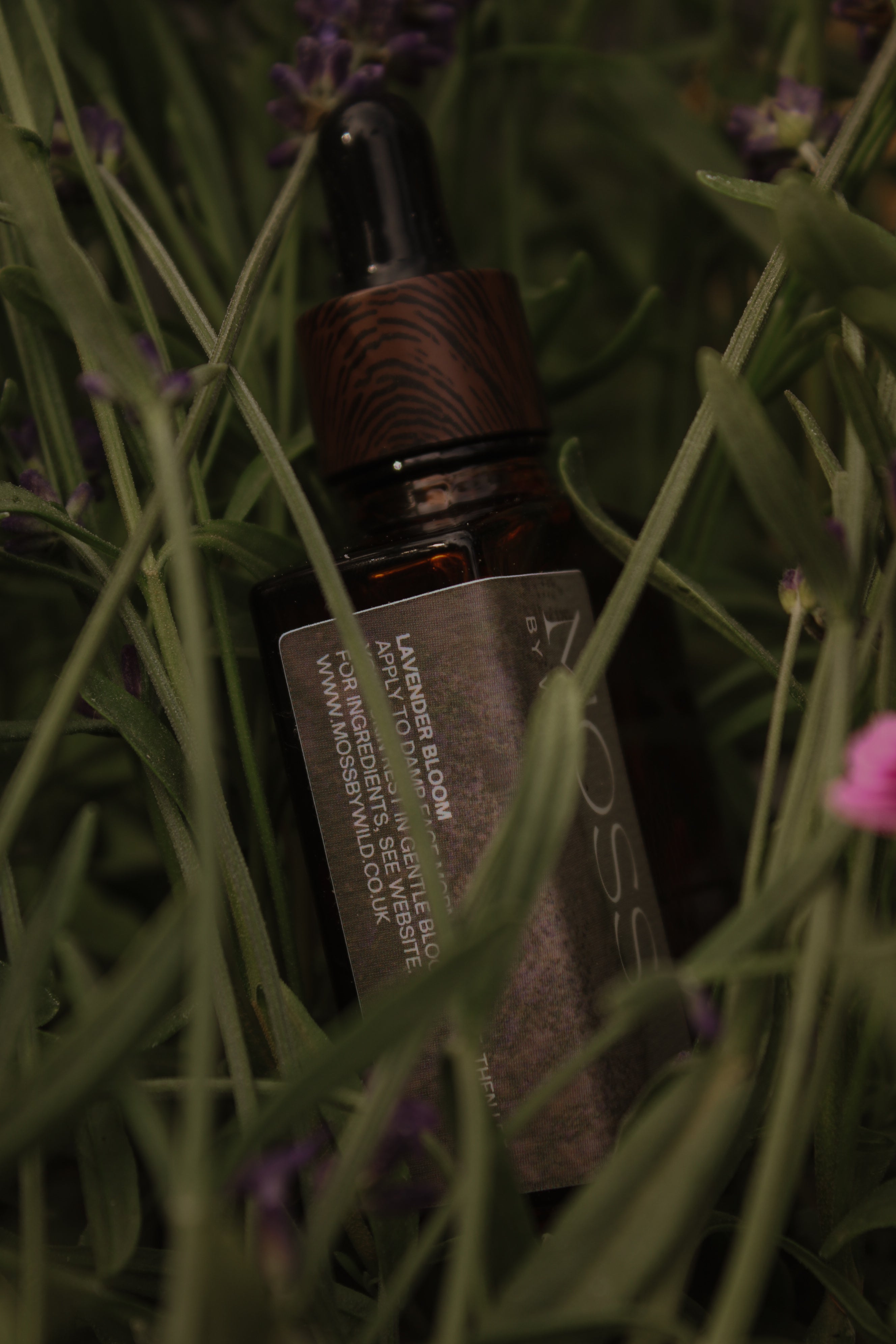 Lavender Bloom Face Oil / Natural + Vegan Face Oil