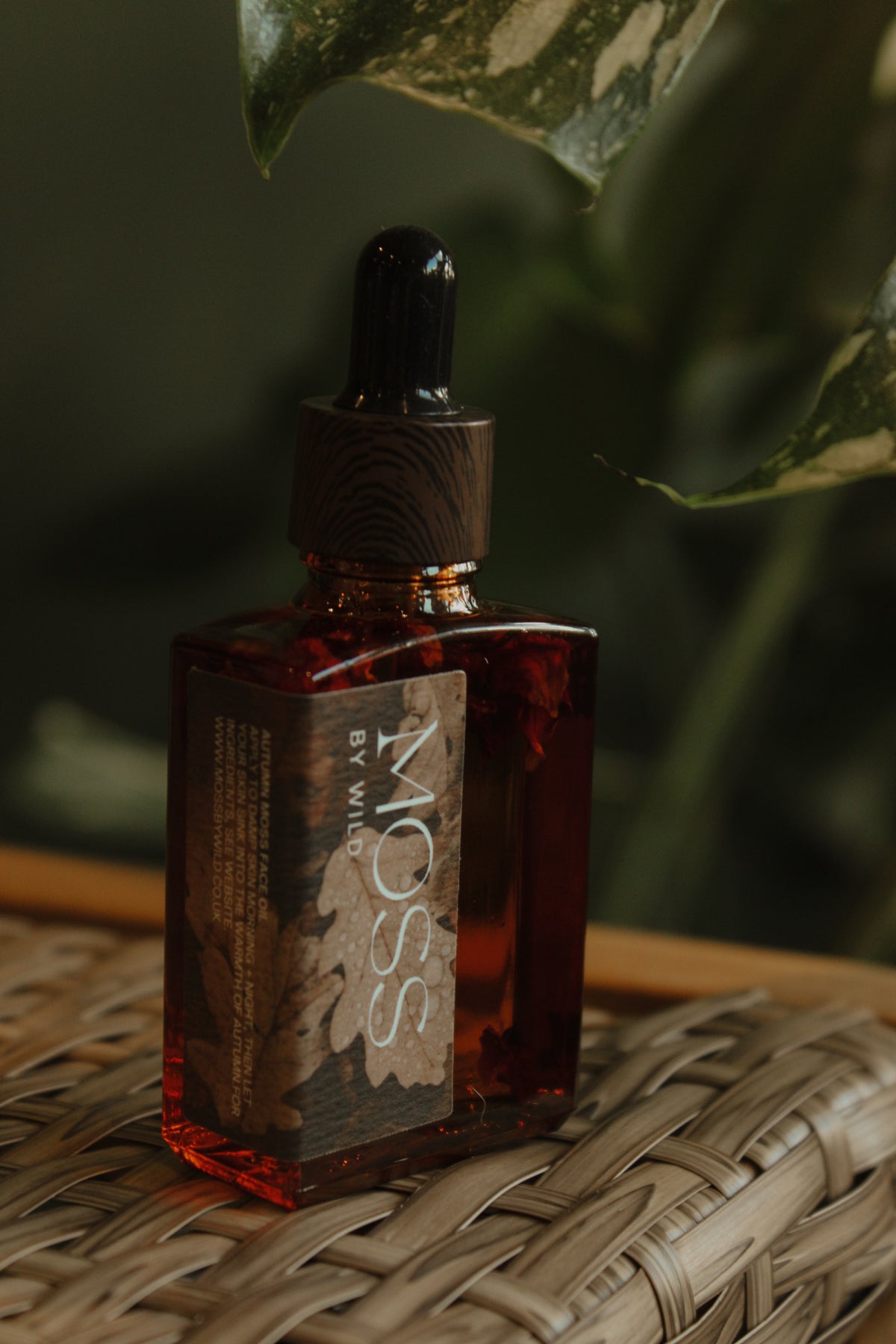 Autumn MOSS Botanical face oil