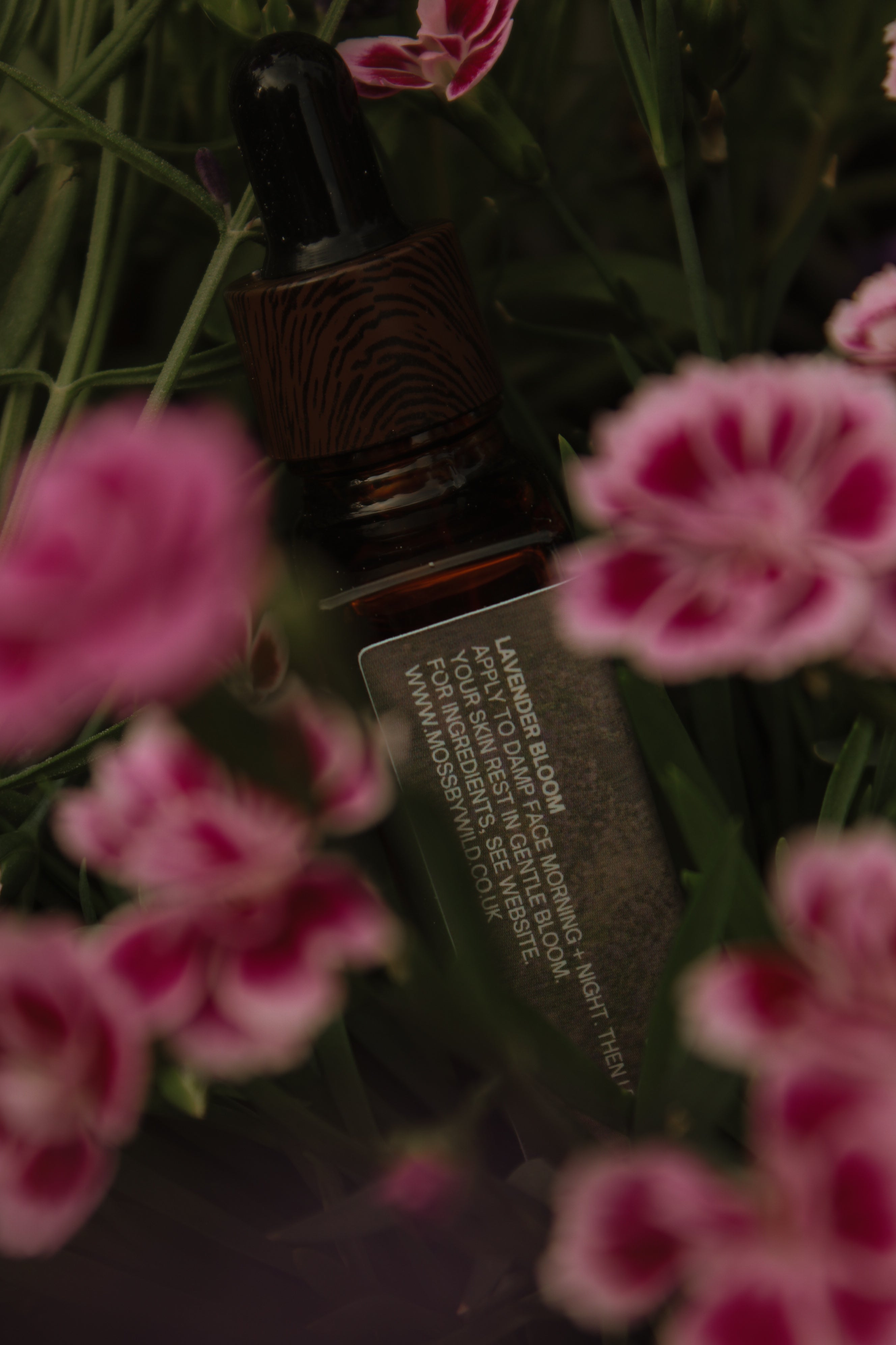 Lavender Bloom Face Oil / Natural + Vegan Face Oil