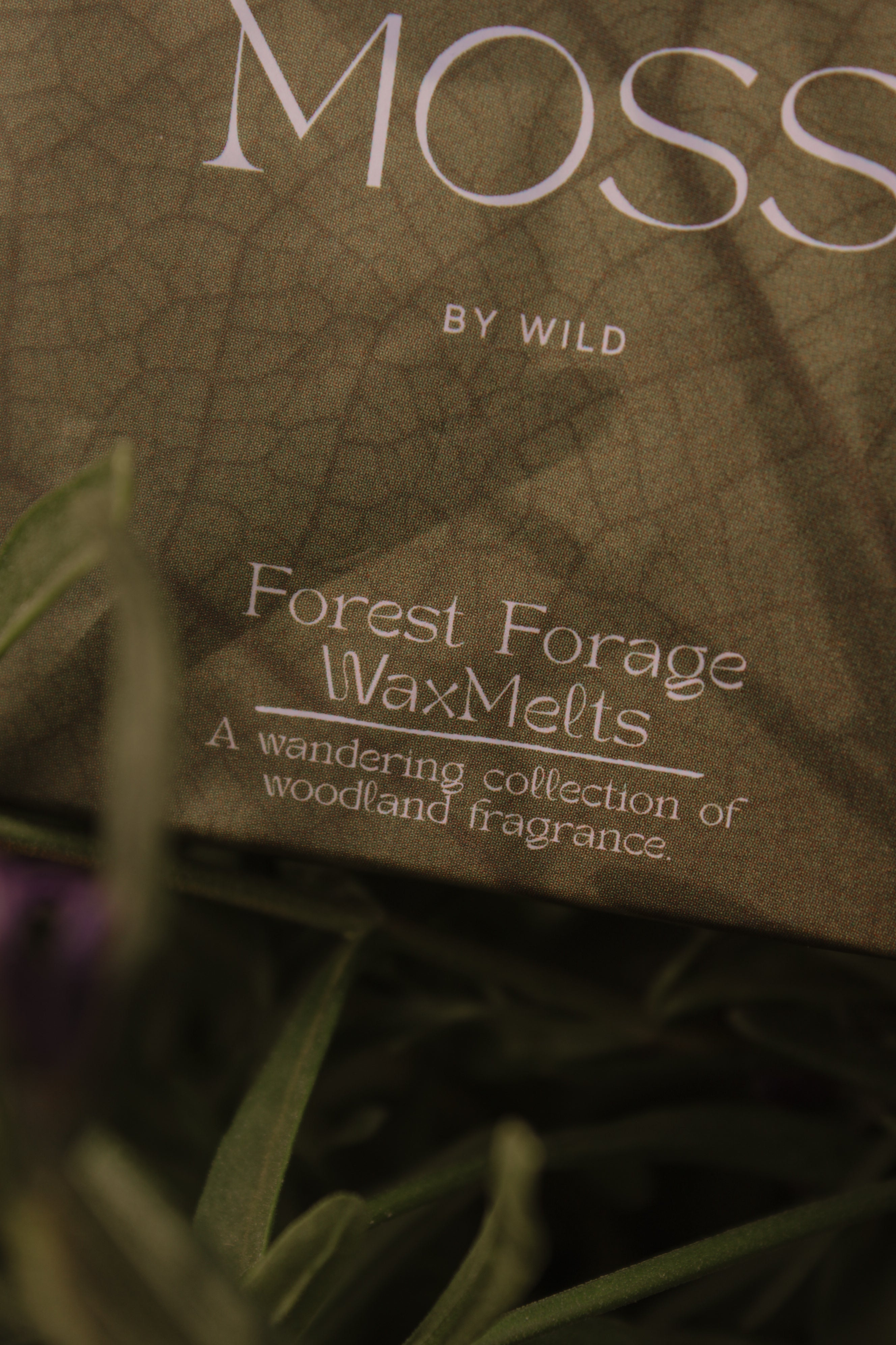 Forest Forage Wax Melt / Natural essential oil wax melts