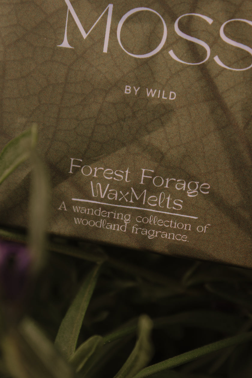 Forest Forage Wax Melt / Natural essential oil wax melts