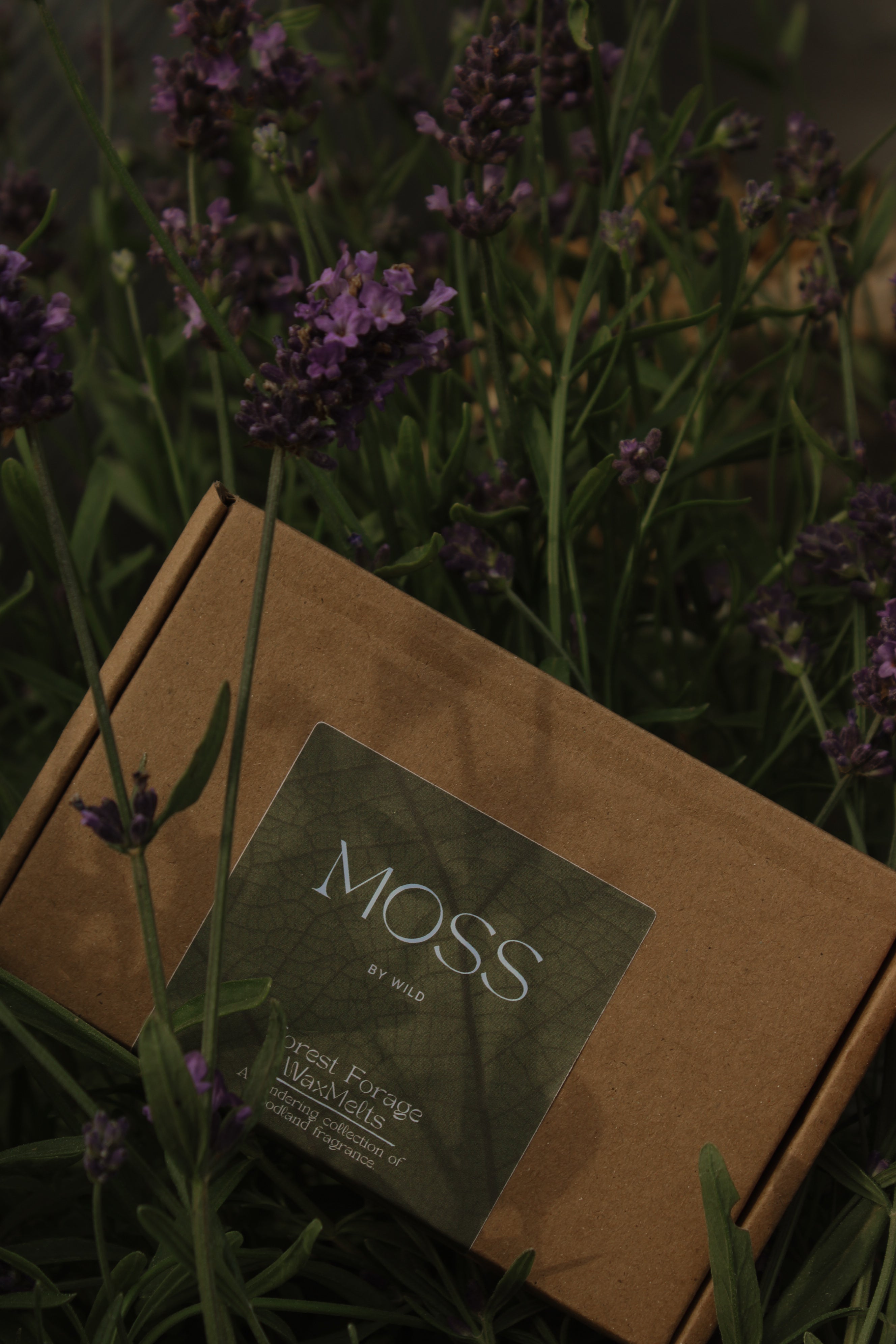 Forest Forage Wax Melt / Natural essential oil wax melts