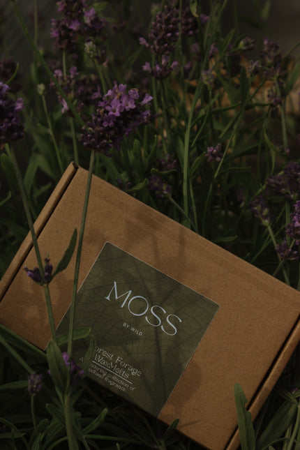 Forest Forage Wax Melt / Natural essential oil wax melts