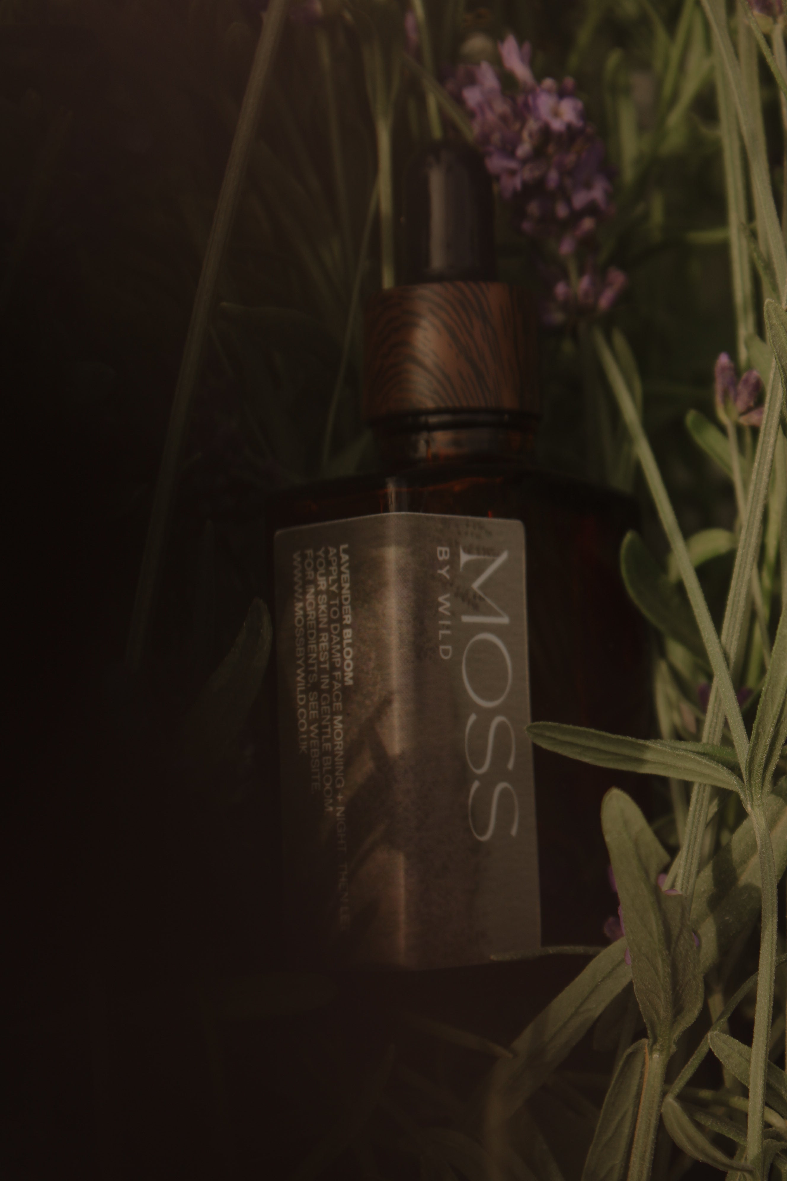 Lavender Bloom Face Oil / Natural + Vegan Face Oil