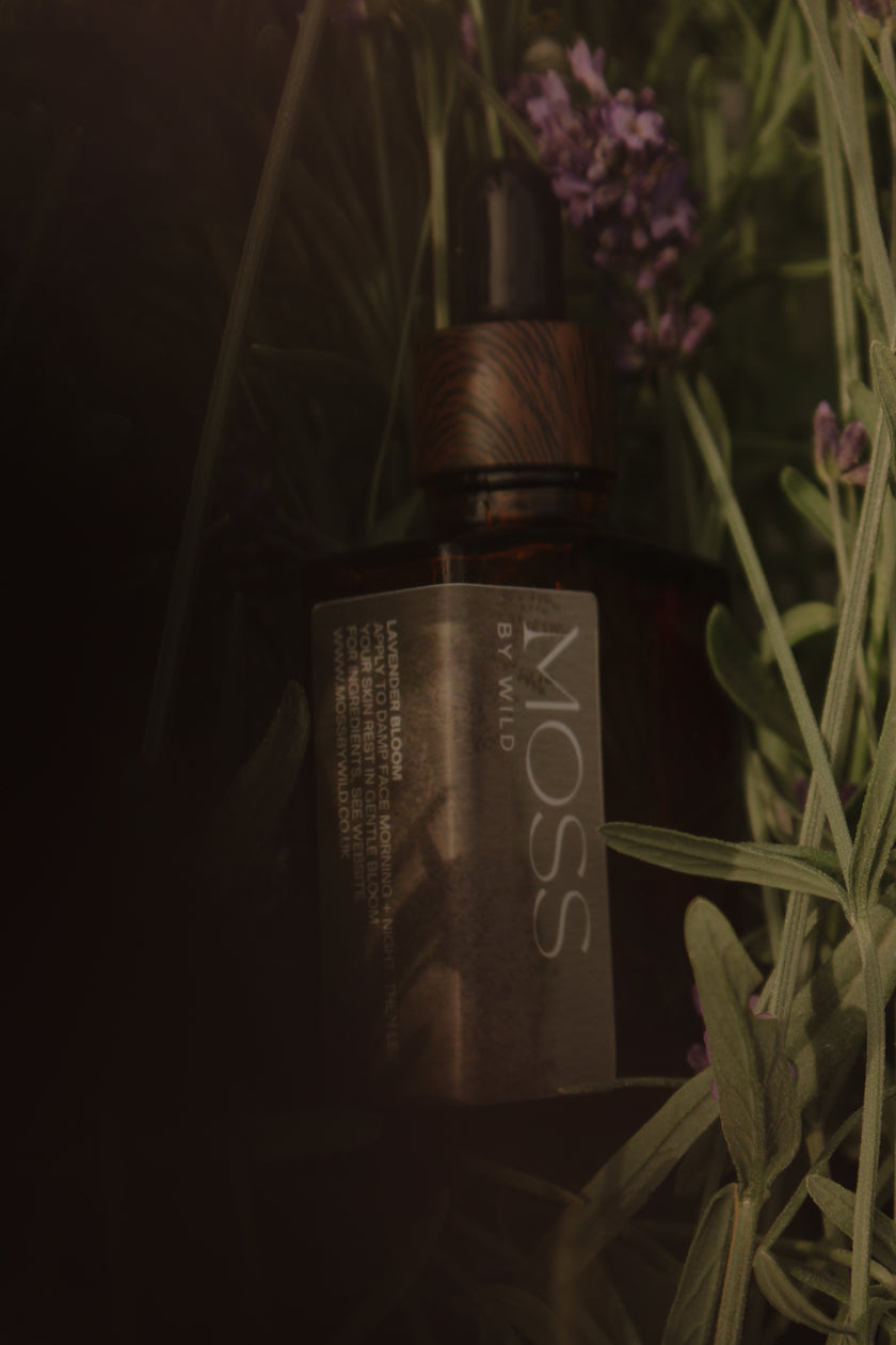 Lavender Bloom Face Oil / Natural + Vegan Face Oil