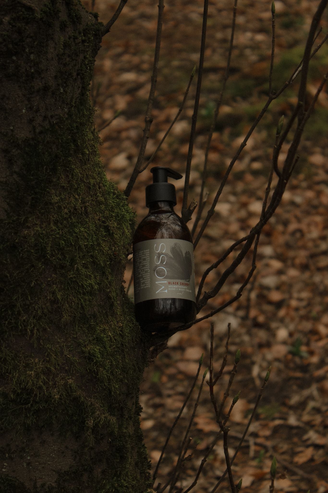 Black Cherry Hand & Body Wash