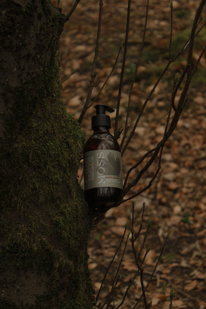 Black Cherry Hand & Body Wash