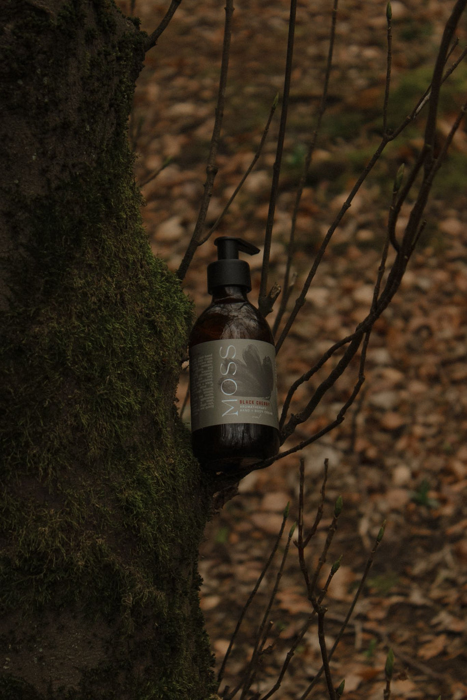 Black Cherry Hand & Body Wash