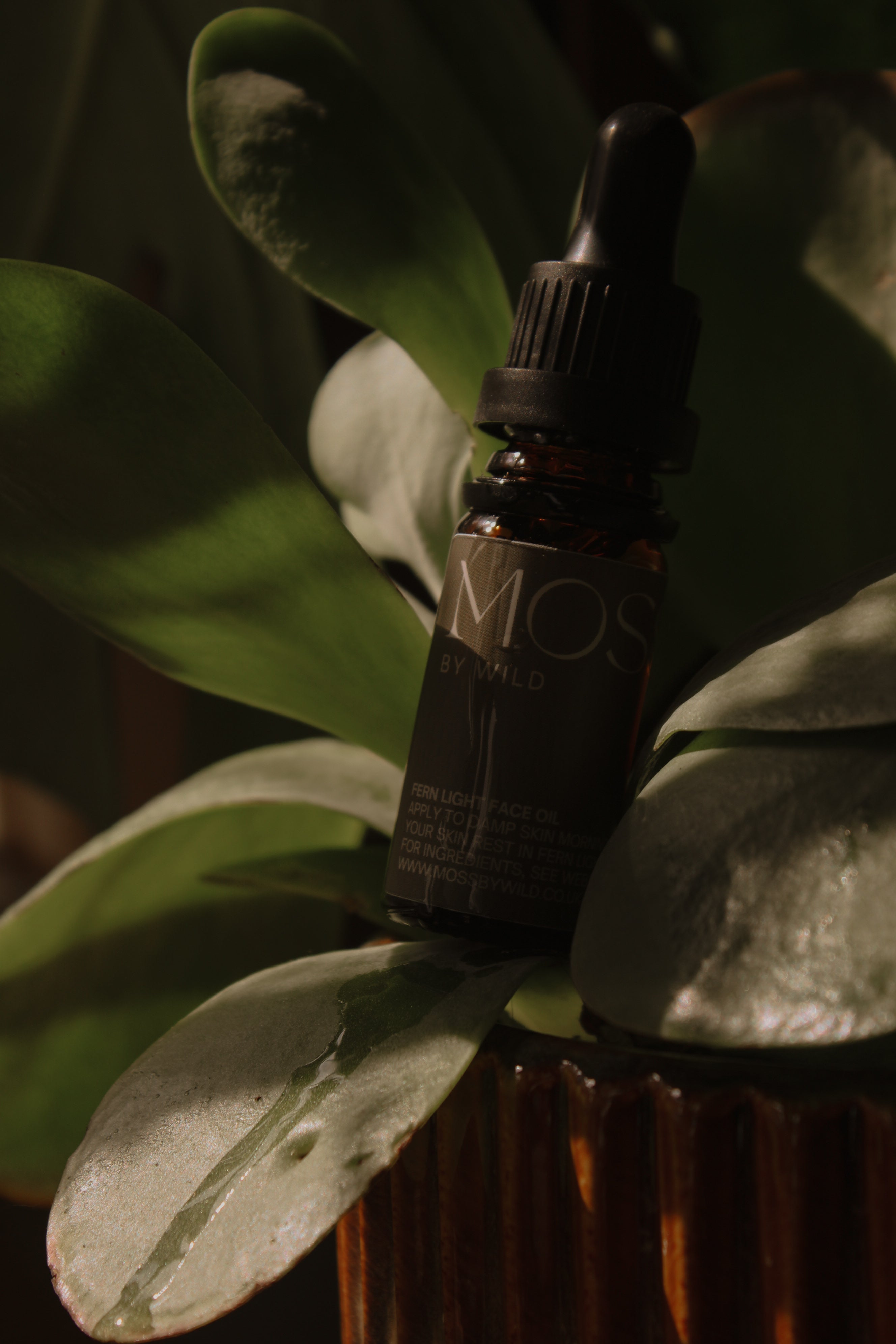 Botanical Face Oil Discovery Set