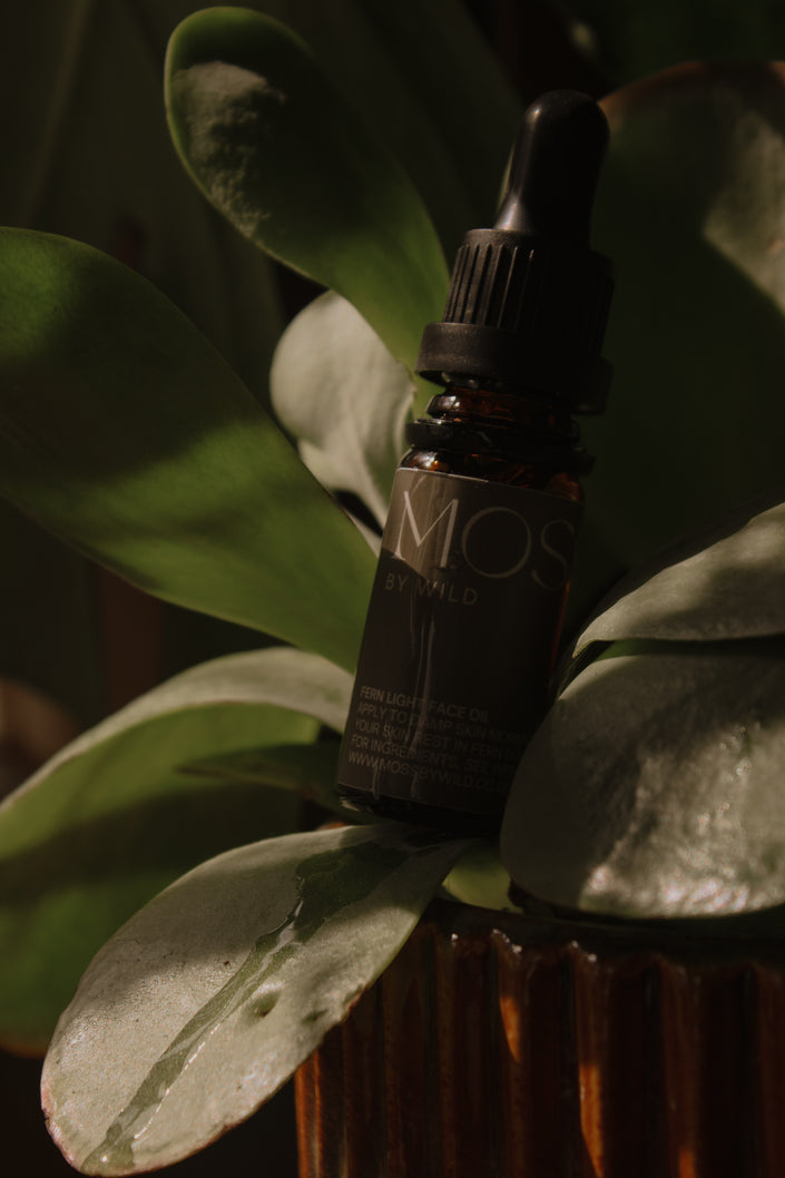 Botanical Face Oil Discovery Set