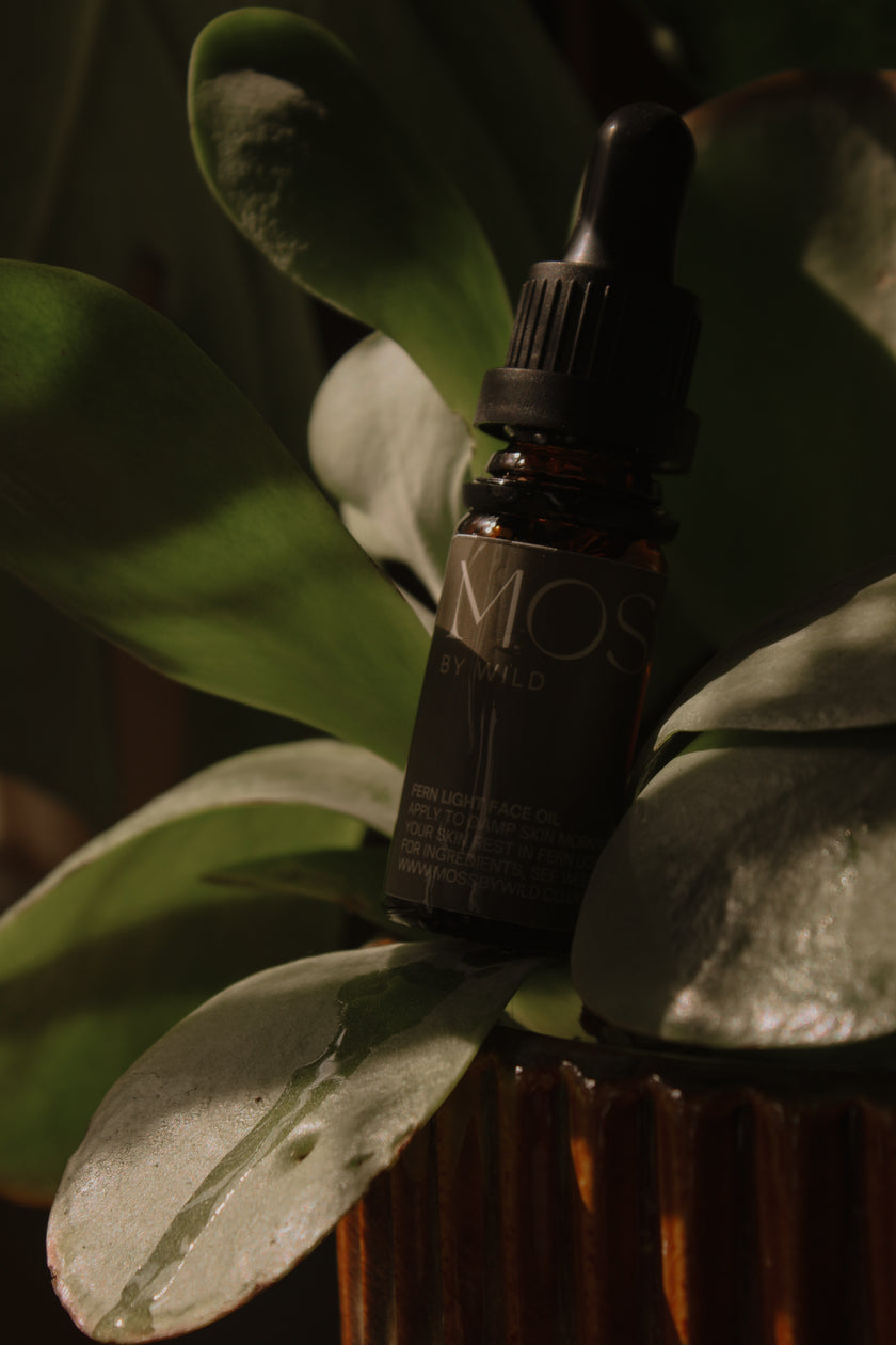 Botanical Face Oil Discovery Set