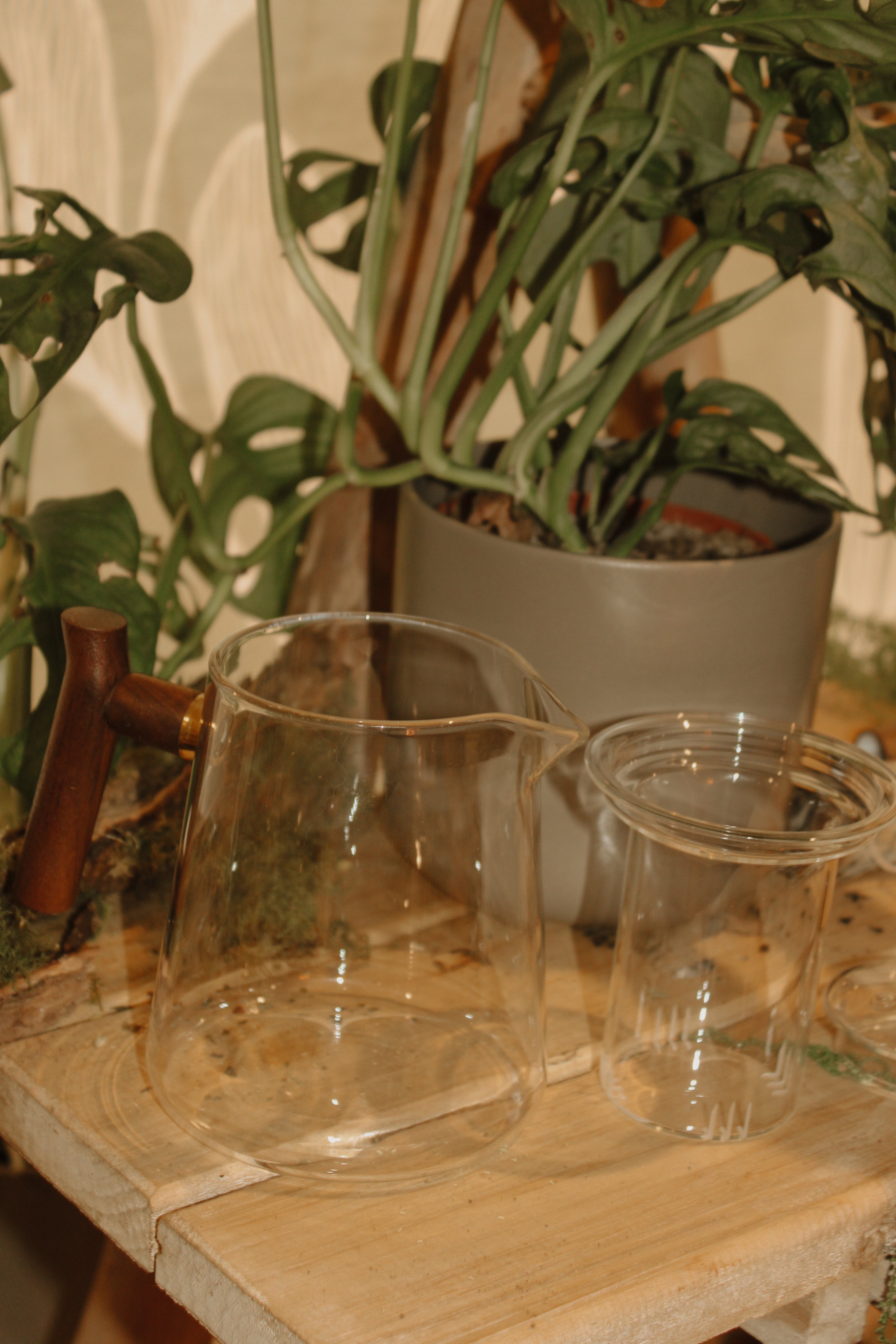 Glass Tea Pot - Wood Handle (with tea strainer)